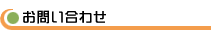 �J�X�^�}�[�T�|�[�g
