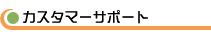 �J�X�^�}�[�T�|�[�g