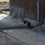 IMG_20111009_1422142