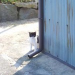 IMG_20111009_1422442